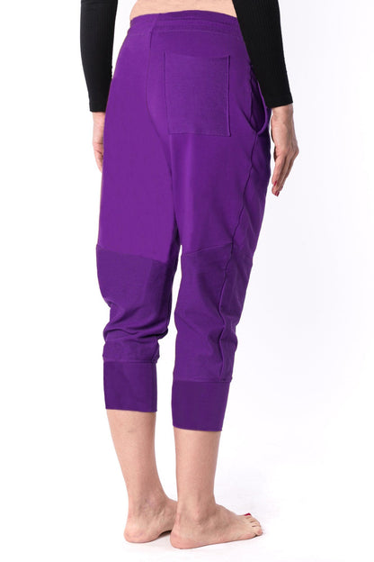 The Woman Panelled Jogger 17 // violet
